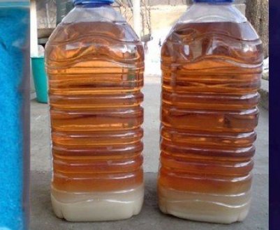 Дайте цю суміш усім плодовим деревам восени