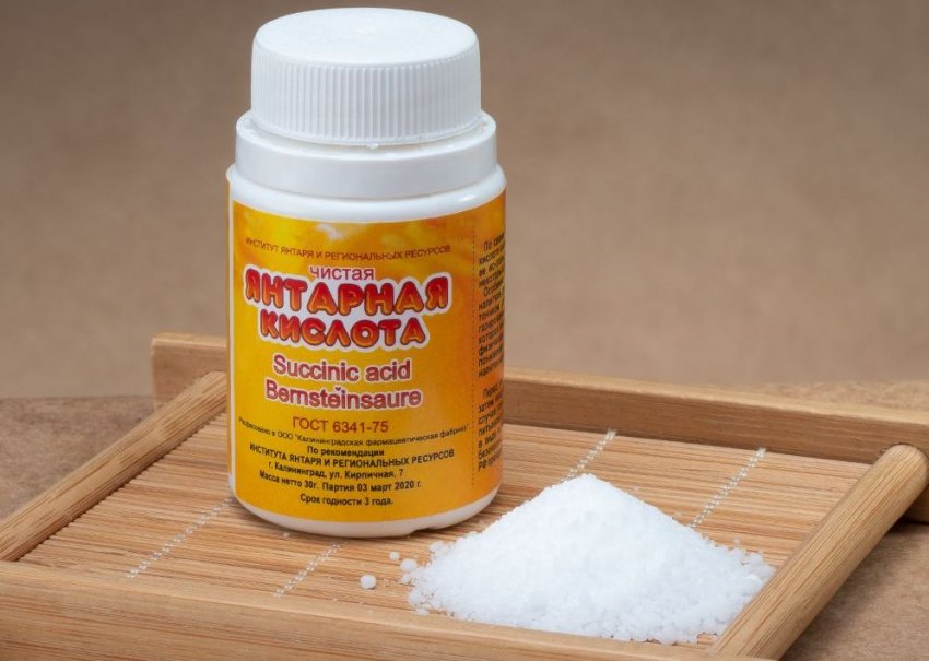 Бурштинова кислота для коренеутворення Бурштинова кислота для коренеутворення