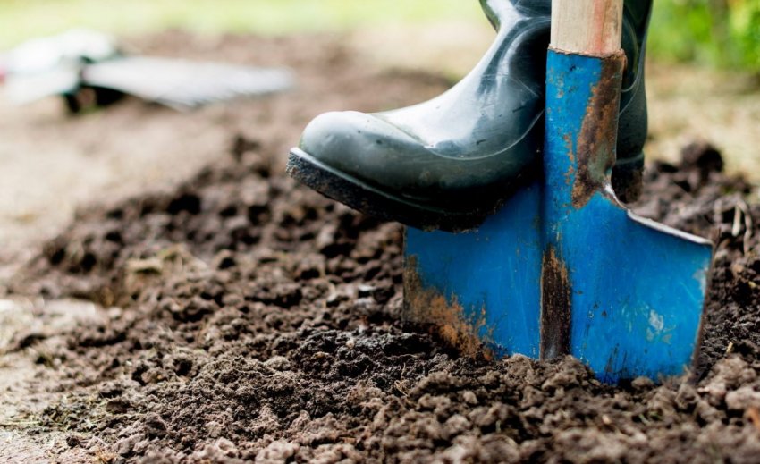 Осіння розкопка ґрунту