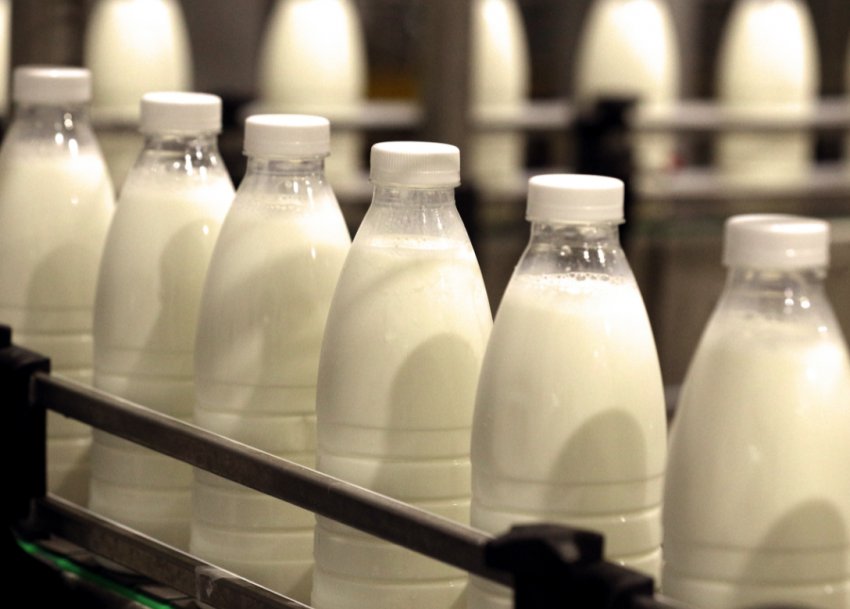 Молочна продукція