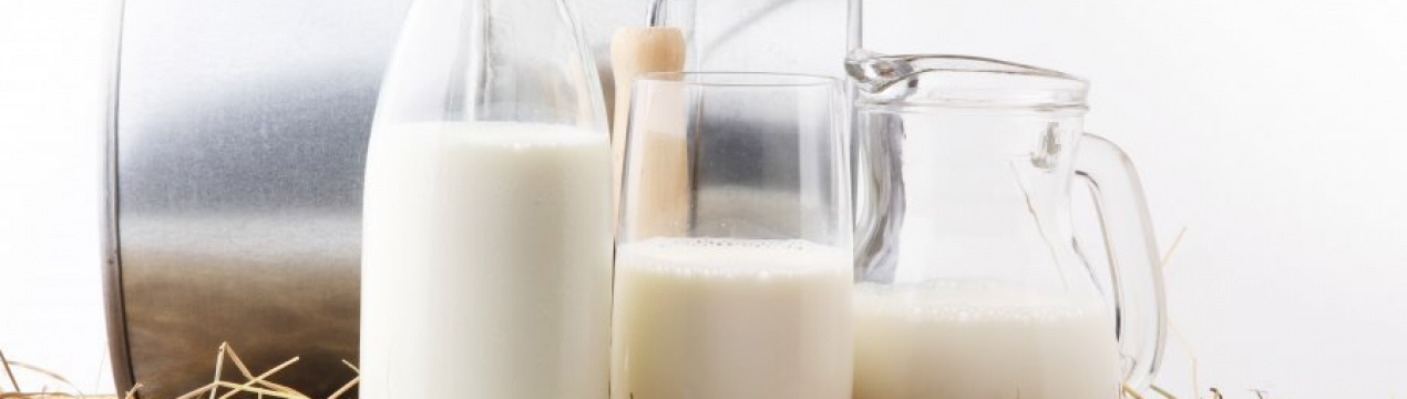 Молочна продукція українського виробництва з'явиться в Йорданії