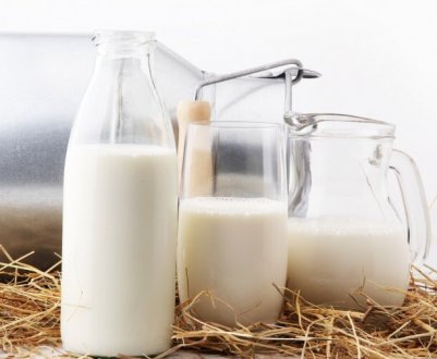 Молочна продукція українського виробництва з'явиться в Йорданії