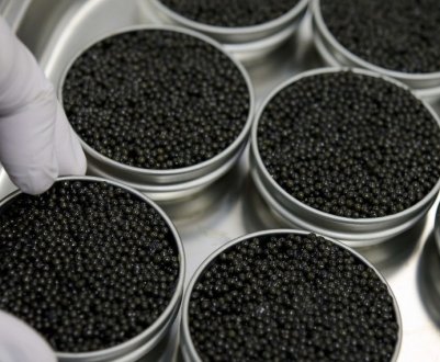 Українська чорна ікра тепер з'явиться і на ринку Кувейта