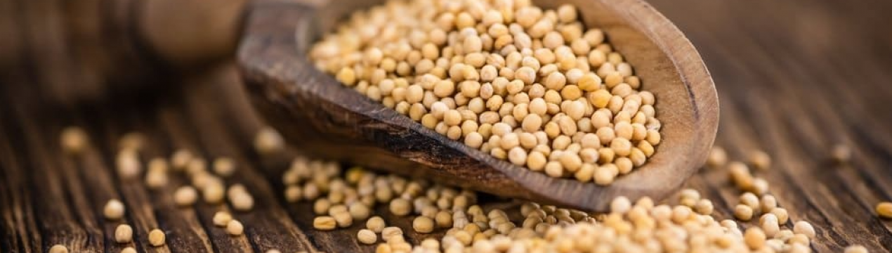 Ви також будете так робити! Ось для чого сусід сіє гірчицю в листопаді під зиму