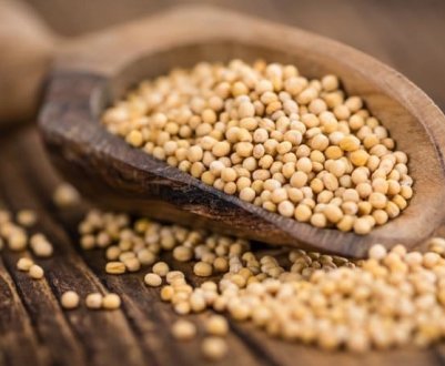 Ви також будете так робити! Ось для чого сусід сіє гірчицю в листопаді під зиму