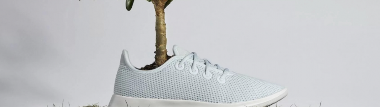 В світі випустили перше екологічне взуття