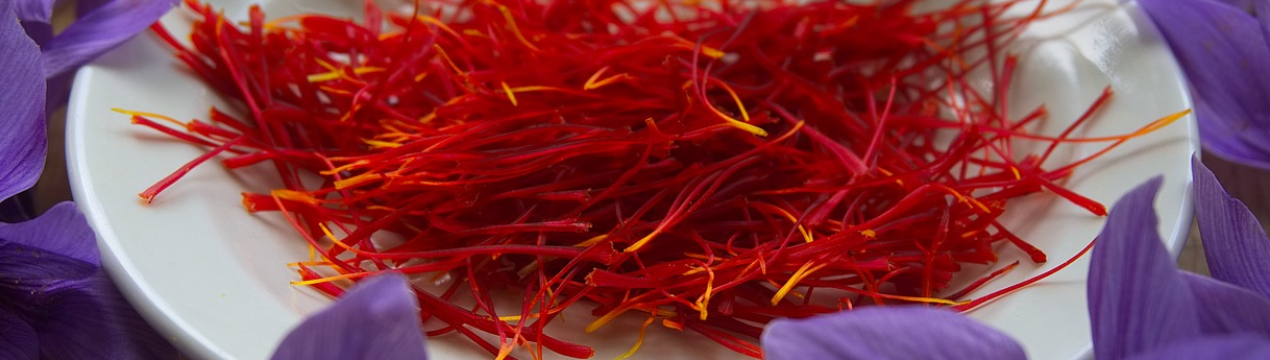 Закарпатські фермери почали збір шафрану