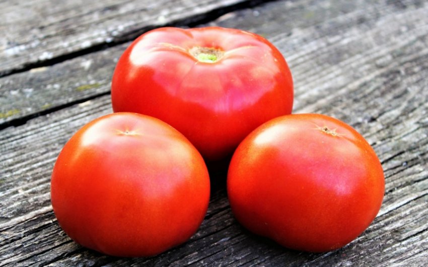 Помідори Червоний півень Помідори Червоний півень
