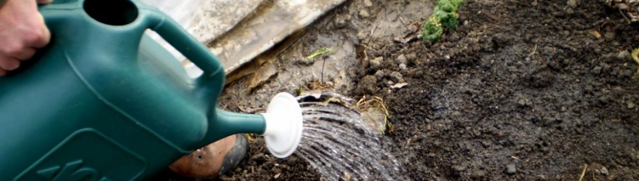 Спасітельний еліксир для ґрунту восени