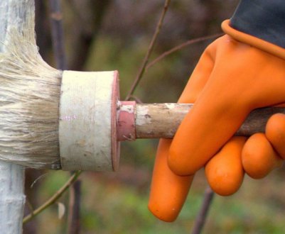 Повний захист від хвороб усіх плодово-ягідних культур. Ділюся рецептом