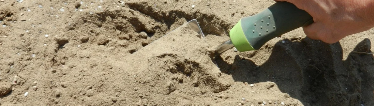 Як перетворити пісок в родючий ґрунт?