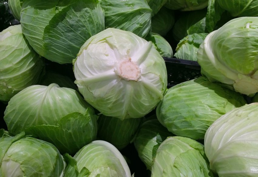 Подорожание капусты Подорожание капусты