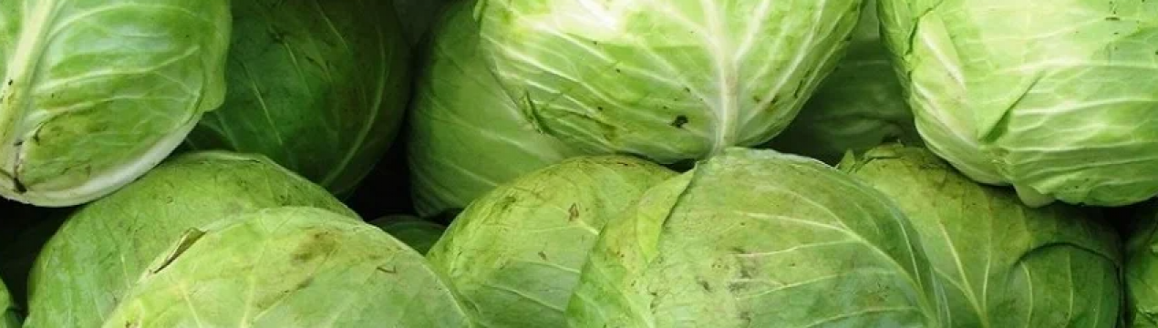 В Україні значно подорожчала капуста