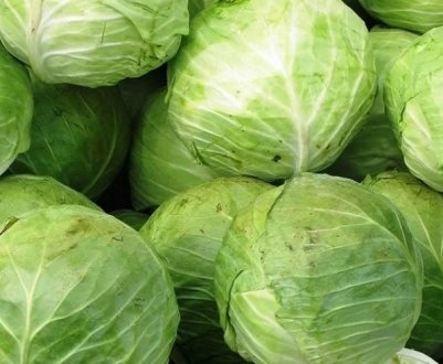 В Україні значно подорожчала капуста