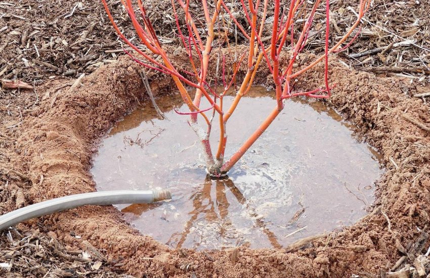 Підзимовий вологозарядковий полив