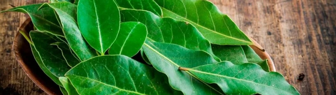 Додайте це при посадці в горщик! Розсада виросте потужна без підживлення