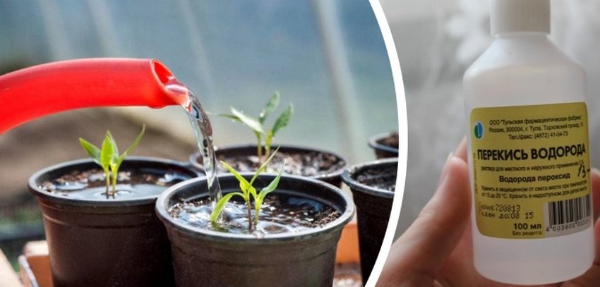 Перекис водню