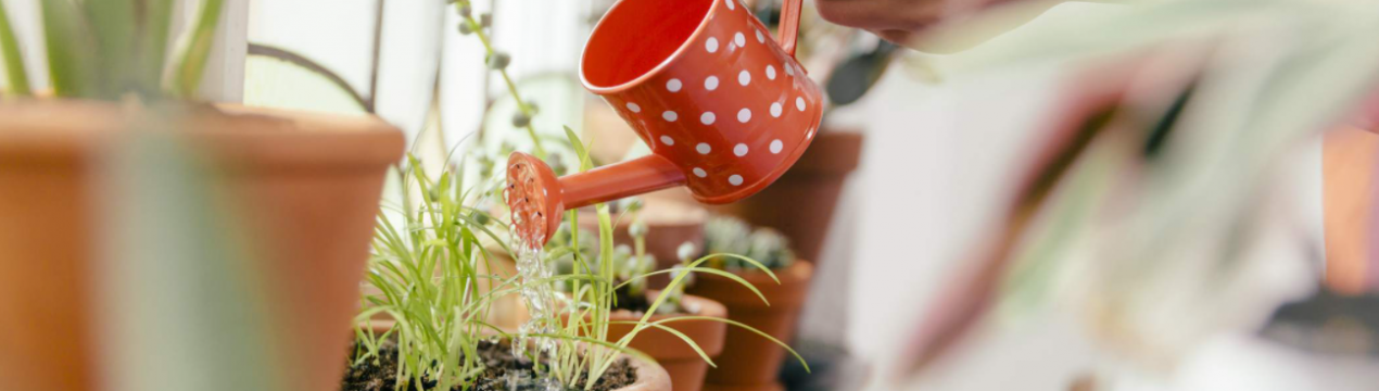 Засіб-рятівник від шкідників домашніх рослин