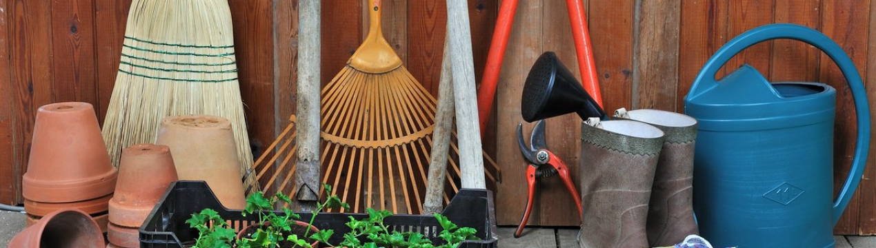 10 корисних речей, які варто подарувати садівнику-городнику