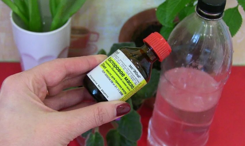 Рицинова олія для кімнатних рослин Рицинова олія для кімнатних рослин