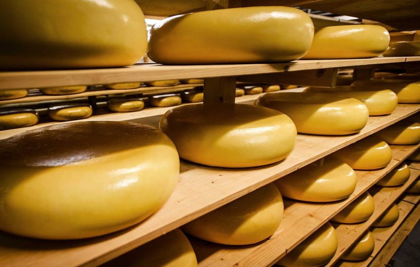 Імпорт сиру в Україну