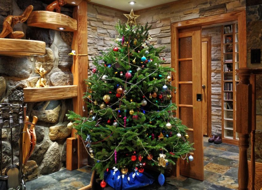 Ялина як новорічне дерево