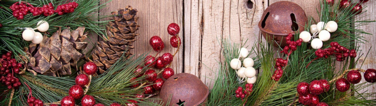 Новорічна ялинка: ялина, пихта або сосна - що вибрати?