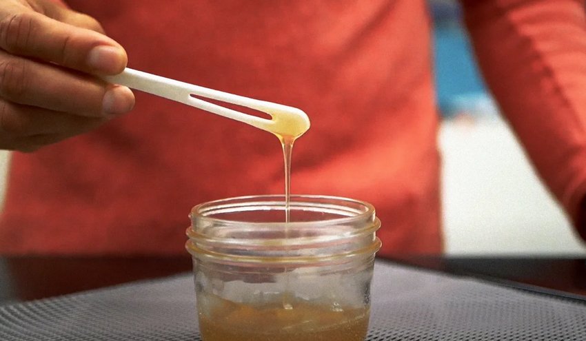 Мед без бджіл Мед без бджіл