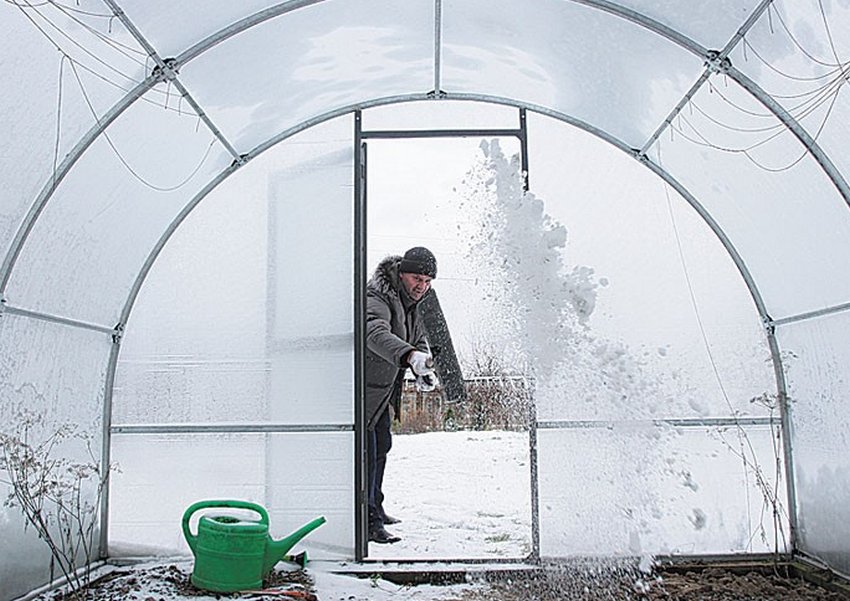 Прибирання теплиці зимою