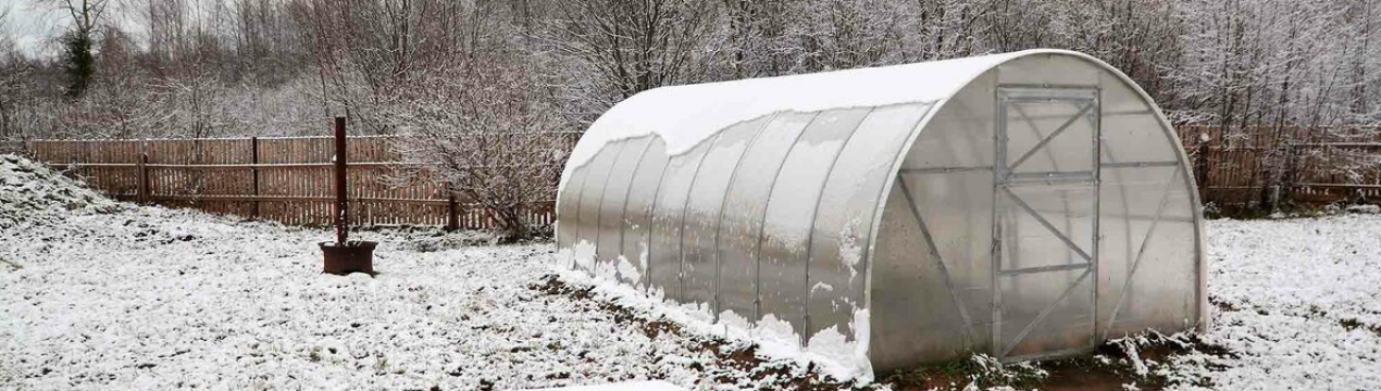 Буде як нова! Як зберегти оранжерею зимою?