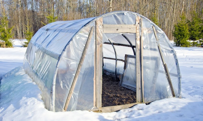Теплиця взимку