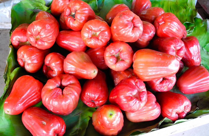 Тайські воскові яблука