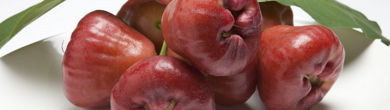 Тайські вчені вивели універсальний сорт яблук