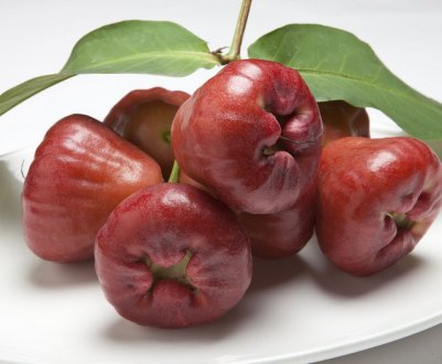 Тайські вчені вивели універсальний сорт яблук