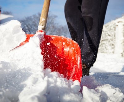 Сезонні роботи в саду і на городі: що робити в січні?