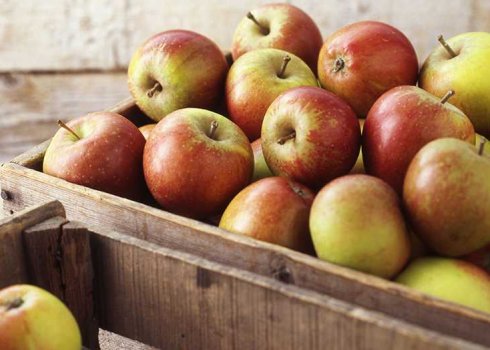 Сорти яблук, які можна зберігати до травня