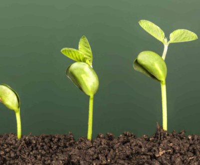 Стимулюємо насіння без хімії