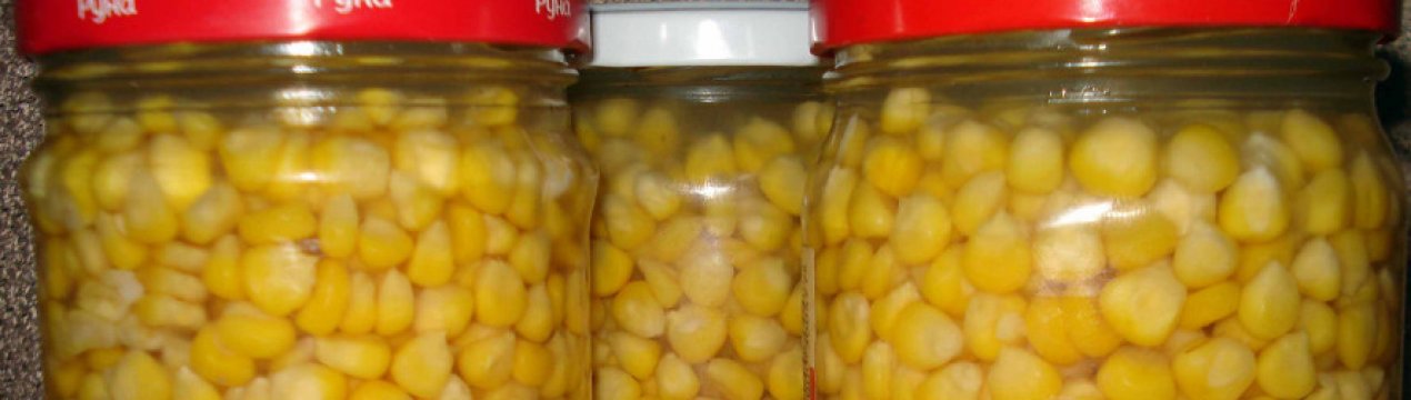 Початки кукурузы мариновать рецепт. . Початки кукурузы мариновать рецепт фото. Початки кукурузы мариновать рецепт-. картинка Початки кукурузы мариновать рецепт. картинка . Консервированная кукуруза любима многими. В то время как большинство людей привыкли покупать ее в магазинах, мало кто задумывается о том, что консервированную кукурузу можно легко приготовить самостоятельно. Кукуруза на зиму в домашних условиях обладает практически теми же питательными свойствами, что и свежая – чем не повод заготовить на зиму столь замечательный злак? Консервация эта пусть и не самая популярная среди наших хозяек, зато впечатление на всех собравшихся за столом вы точно произведете.