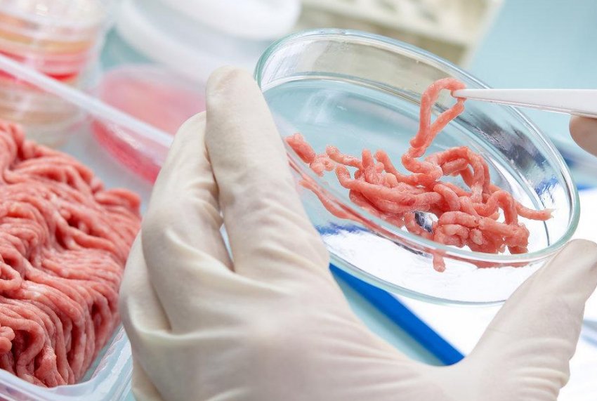 Штучна курятина Штучна курятина