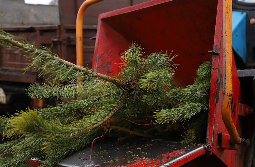 Пеерробка новорічної ялинки