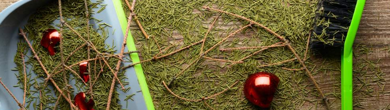 Новорічну ялинку не викидаю, а роблю з неї добриво для саду