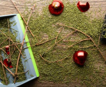 Новорічну ялинку не викидаю, а роблю з неї добриво для саду