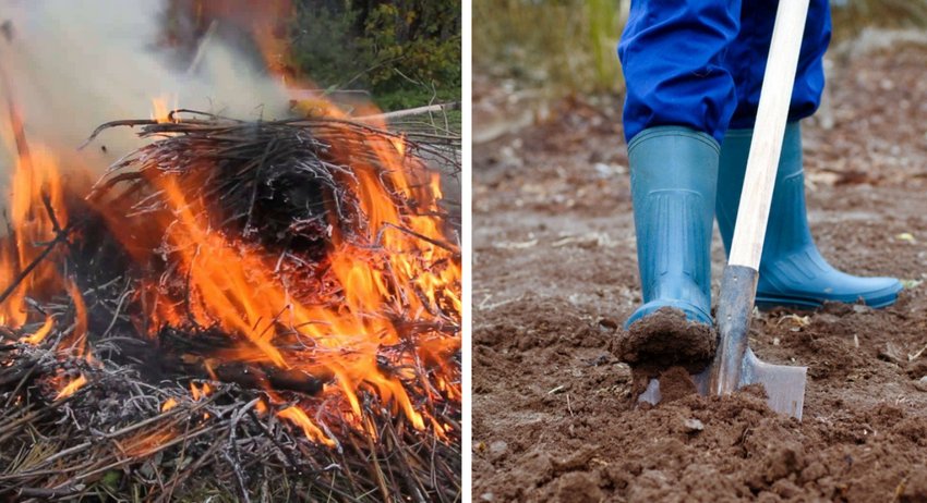 Випалювання рослинних залишків Випалювання рослинних залишків
