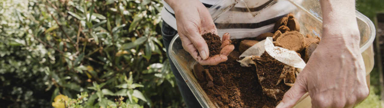 5 продуктів, які не можна викидати. Знадобляться для саду!