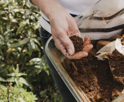 5 продуктів, які не можна викидати. Знадобляться для саду!