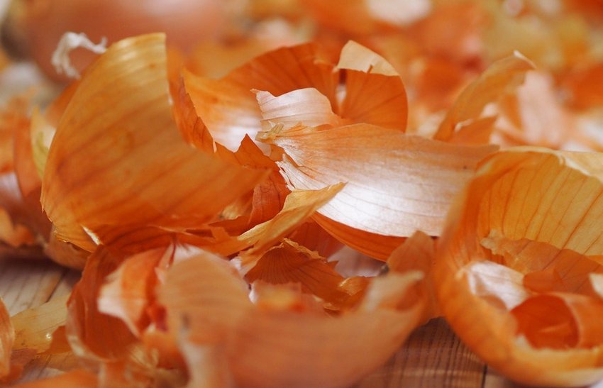 Цибулева шкірка Цибулева шкірка