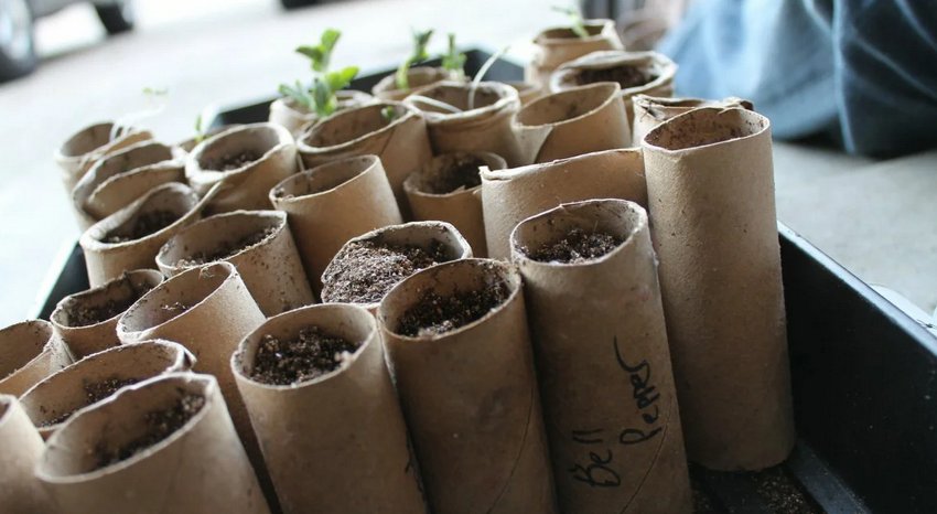 Стаканчики для розсади Стаканчики для розсади