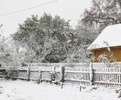 Навіщо накоплювати сніг у саду та городі?