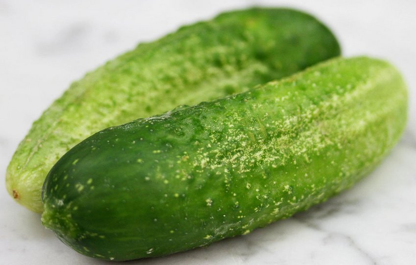 Огірок Деликатний Огірок Деликатний