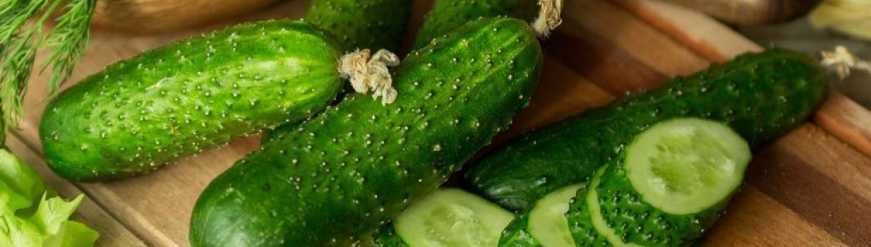 Такого врожаю огірків у вас ще не було! Кращі сорти та гібриди